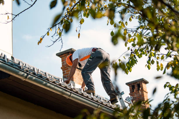 Best Commercial Roof Installation  in Wautoma, WI