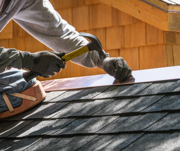 Best Roof Gutter Cleaning  in Wautoma, WI